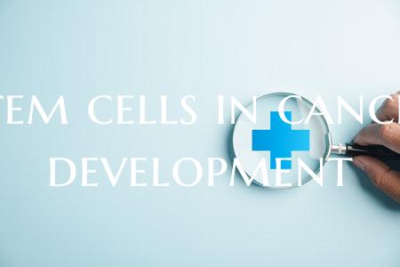 Stem cells in cancer development