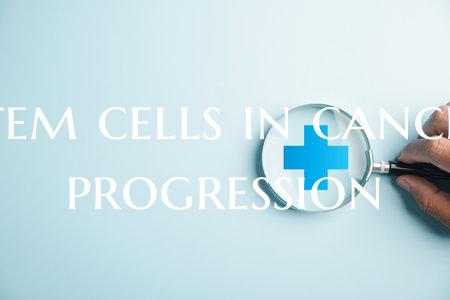 Stem cells in cancer progression