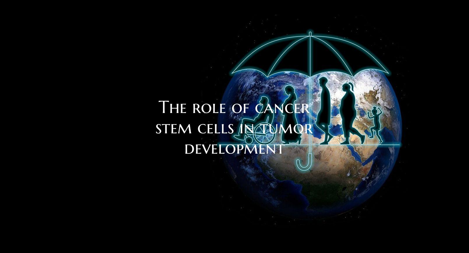 The role of cancer stem cells in tumor development