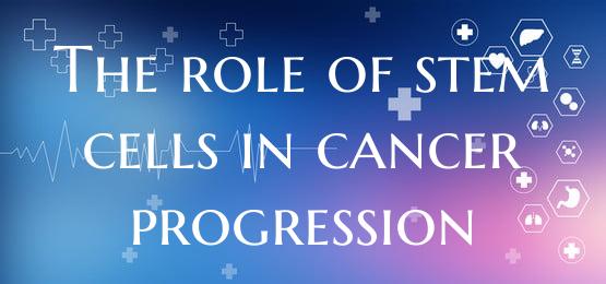 The role of stem cells in cancer progression